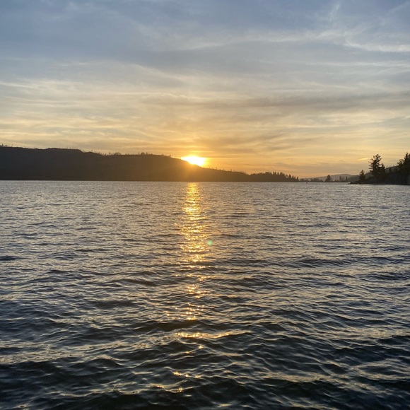 Meet your Posher, Char pronounced like SHAR😀😎 - Picture 3 of 3